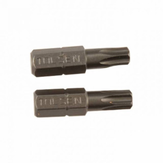Біти S2 Torx T 10х25 мм, 2 шт блістер
